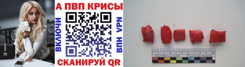 A PVP крисы CK  сколько стоит  blacksprut как войти  Демидов 