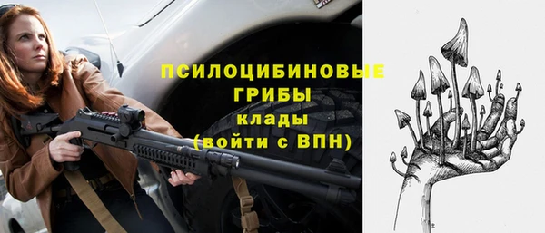 ГАЛЛЮЦИНОГЕННЫЕ ГРИБЫ Верея