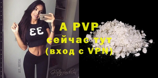 ГАЛЛЮЦИНОГЕННЫЕ ГРИБЫ Верея