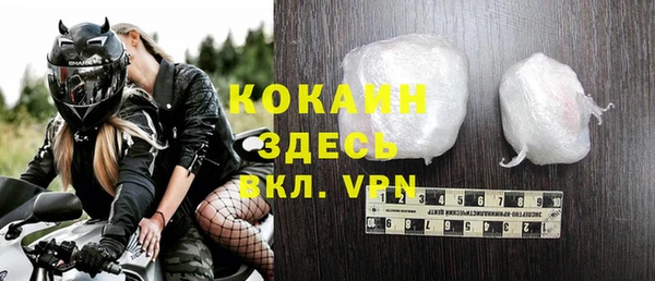 ГАЛЛЮЦИНОГЕННЫЕ ГРИБЫ Верея
