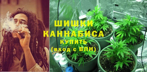 ГАЛЛЮЦИНОГЕННЫЕ ГРИБЫ Верея