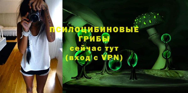 бутират Верхний Тагил