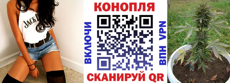 Каннабис семена  мориарти официальный сайт  Демидов 